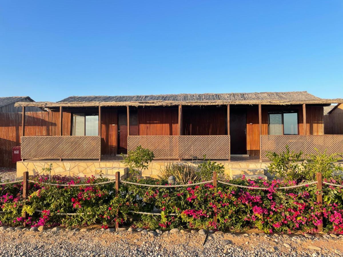 Turtle Beach Resort Ras al Hadd Extérieur photo