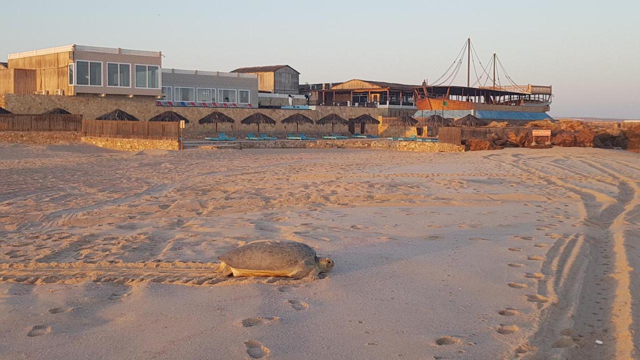 Turtle Beach Resort Ras al Hadd Extérieur photo