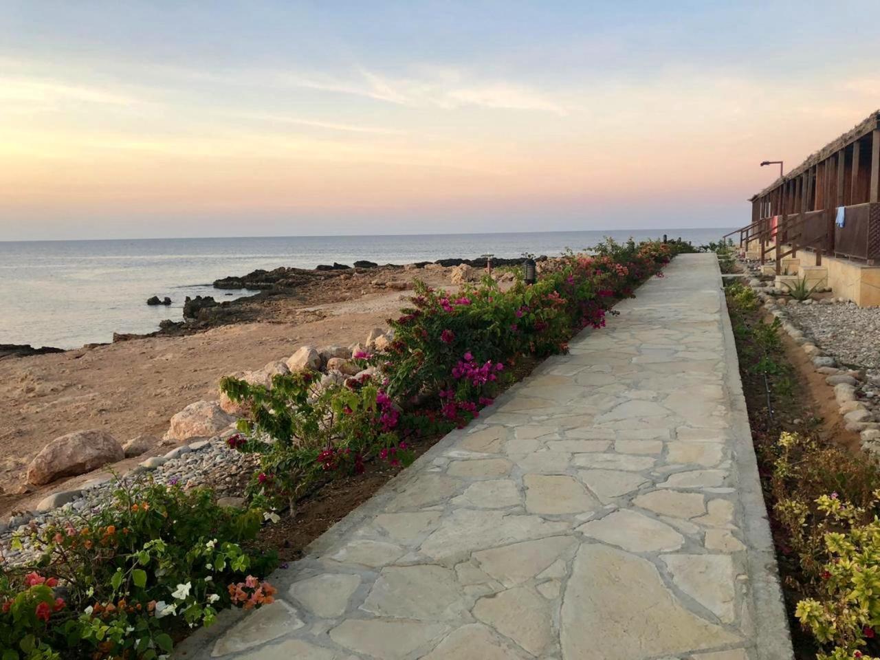 Turtle Beach Resort Ras al Hadd Extérieur photo