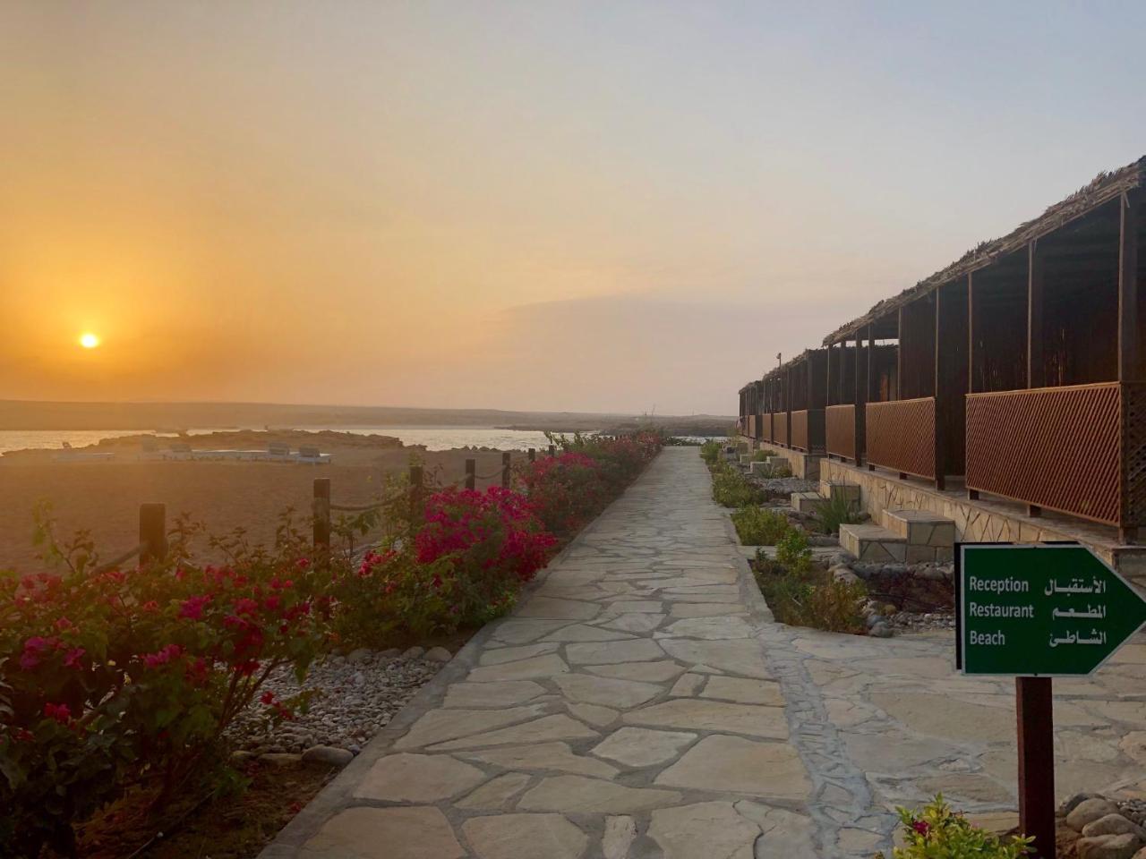 Turtle Beach Resort Ras al Hadd Extérieur photo
